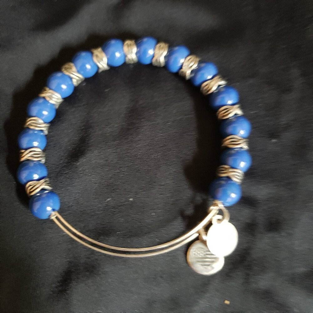 Alex and Ani Beaded Charm Adjustable Bangle Express  Absolutely Gorgeous   E 362
